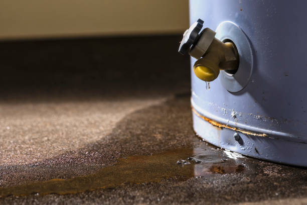 Best 24-hour water damage restoration  in Petersburg, IN