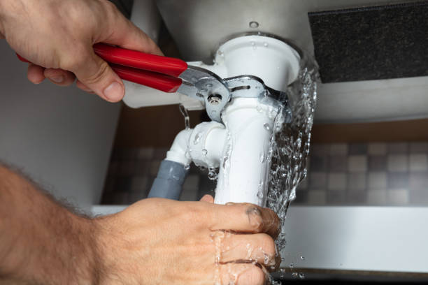 Best Sewage cleanup and water damage restoration  in Petersburg, IN