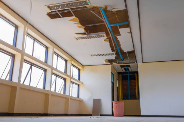 Best Residential water damage restoration  in Petersburg, IN