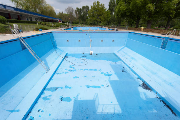 Best Carpet water damage restoration  in Petersburg, IN