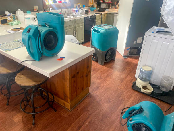 Carpet water damage restoration in IN