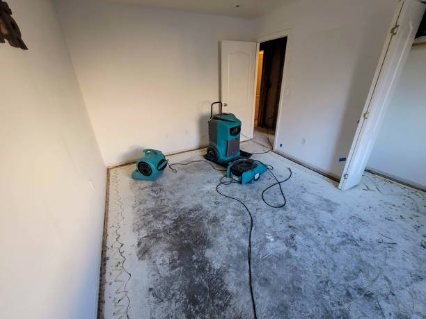 Best Carpet water damage restoration  in Petersburg, IN