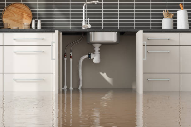 Best Water damage cleanup near me  in Petersburg, IN