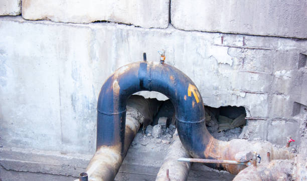 Best Local water damage restoration  in Petersburg, IN