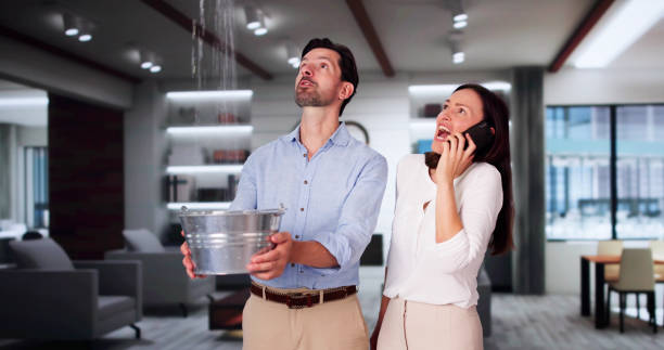 Best Fire Damage Restoration  in Petersburg, IN