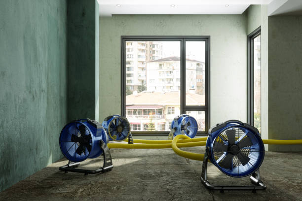 Best Water damage restoration cost  in Petersburg, IN